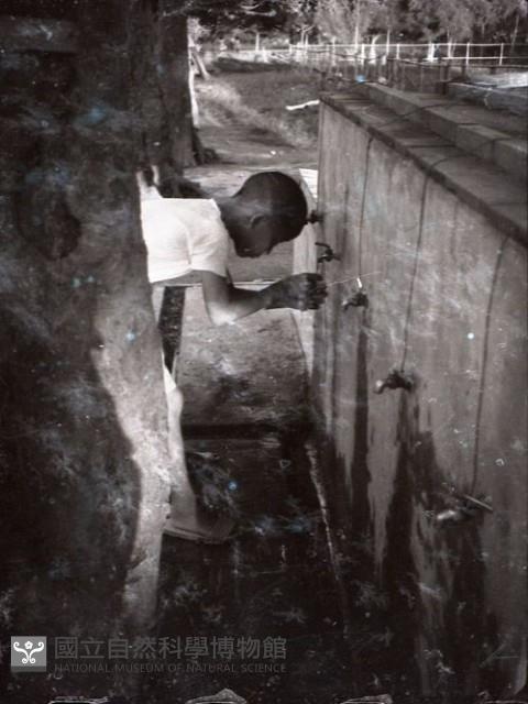 1950至2006年臺灣常民生活藏品圖，第1張