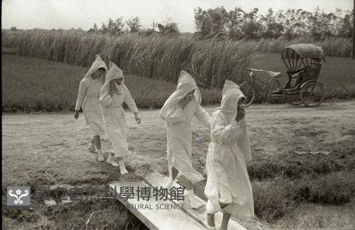 1950至2006年臺灣常民生活藏品圖，第1張