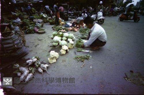 1950至2006年臺灣常民生活藏品圖，第1張