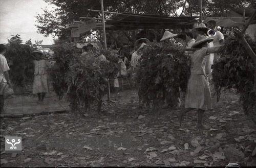 1950至2006年臺灣常民生活藏品圖，第1張