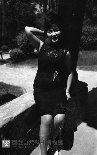 1950至2006年臺灣常民生活藏品圖，第1張