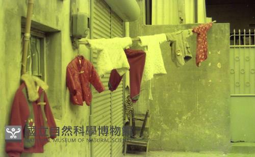 1950至2006年臺灣常民生活藏品圖，第1張