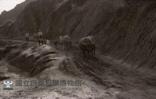1950至2006年臺灣常民生活藏品圖，第1張