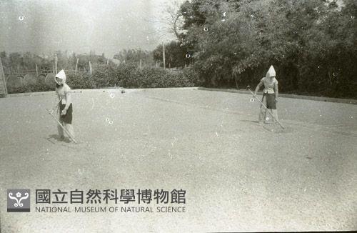 1950至2006年臺灣常民生活藏品圖，第1張