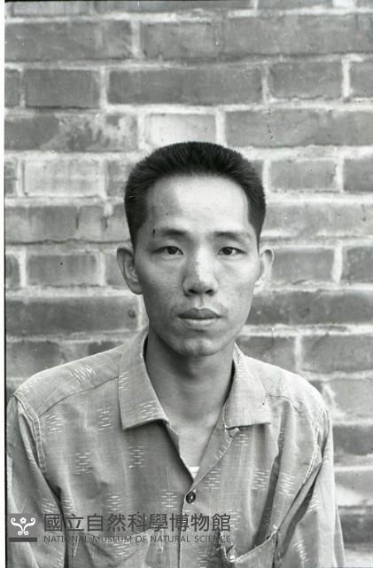 1950至2006年臺灣常民生活藏品圖，第1張