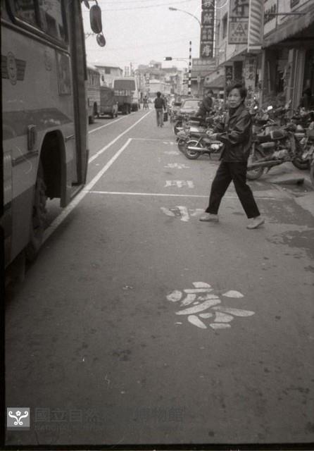 Accession Number:MP2007013286 Collection Image