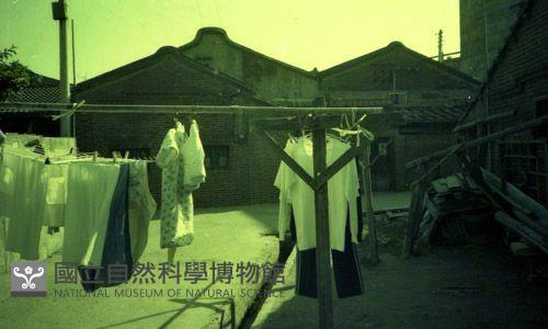 1950至2006年臺灣常民生活藏品圖，第1張