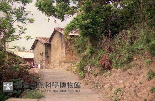 1950至2006年臺灣常民生活藏品圖，第1張