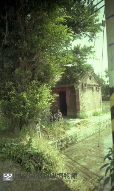 1950至2006年臺灣常民生活藏品圖，第1張