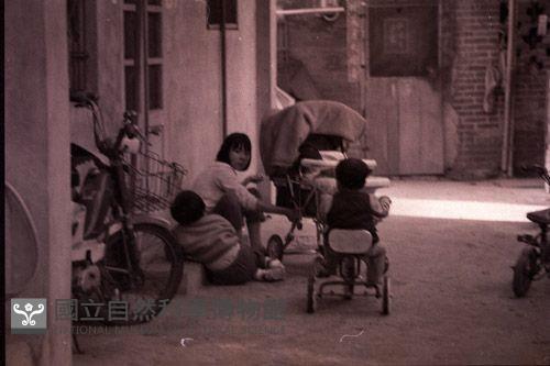 1950至2006年臺灣常民生活藏品圖，第1張