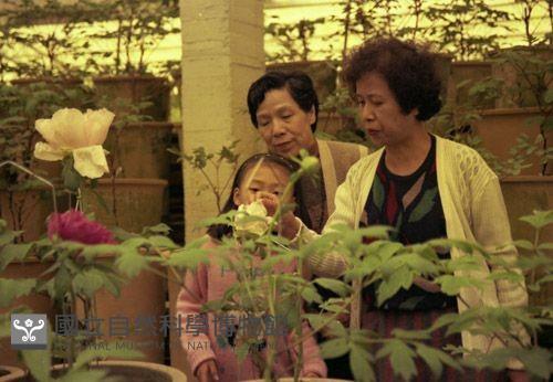 1950至2006年臺灣常民生活藏品圖，第1張