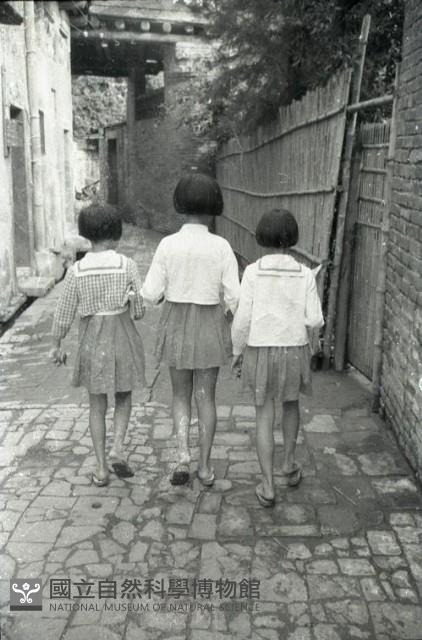 1950至2006年臺灣常民生活藏品圖，第1張