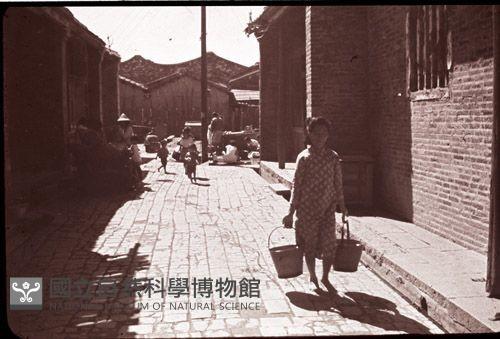 1950至2006年臺灣常民生活藏品圖，第1張