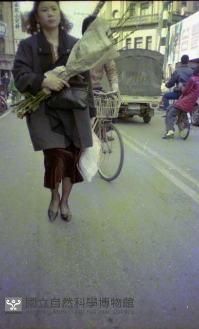 1950至2006年臺灣常民生活藏品圖，第1張