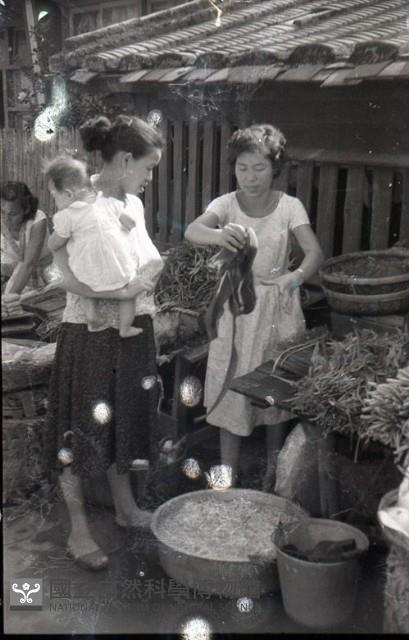 1950至2006年臺灣常民生活藏品圖，第1張