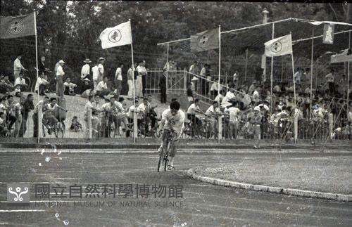 1950至2006年臺灣常民生活藏品圖，第1張