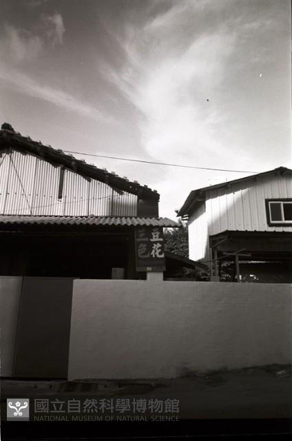 1950至2006年臺灣常民生活藏品圖，第1張