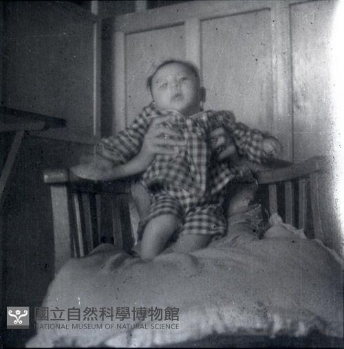 1950至2006年臺灣常民生活藏品圖，第1張