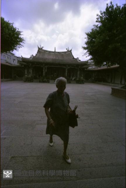 1950至2006年臺灣常民生活藏品圖，第1張
