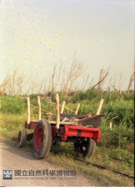 1950至2006年臺灣常民生活藏品圖，第1張