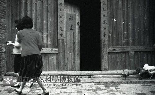 1950至2006年臺灣常民生活藏品圖，第1張