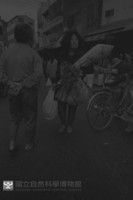 1950至2006年臺灣常民生活藏品圖，第1張