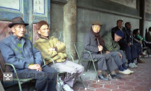 1950至2006年臺灣常民生活藏品圖，第1張
