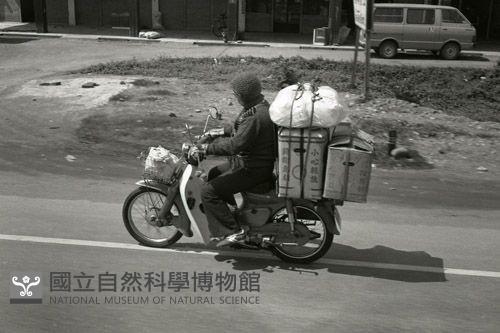 1950至2006年臺灣常民生活藏品圖，第1張