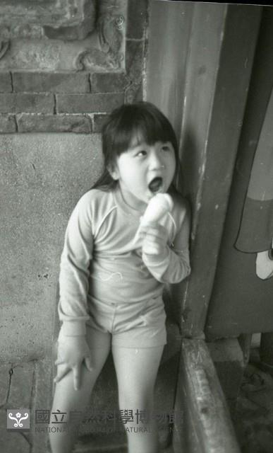 1950至2006年臺灣常民生活藏品圖，第1張