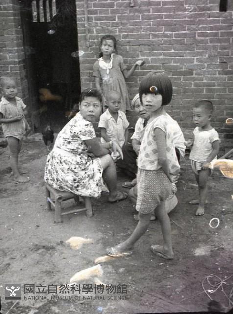 1950至2006年臺灣常民生活藏品圖，第1張