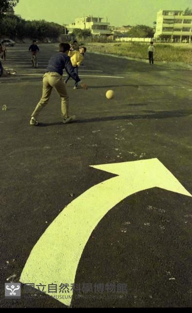 Accession Number:MP2007012206 Collection Image