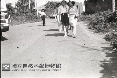 1950至2006年臺灣常民生活藏品圖，第1張