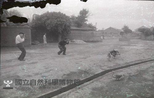 1950至2006年臺灣常民生活藏品圖，第1張