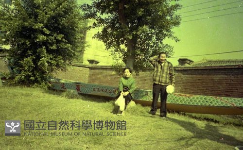 1950至2006年臺灣常民生活藏品圖，第1張