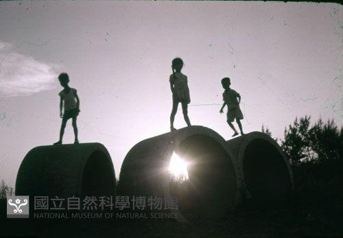 〈遊樂場〉（1950至2006年臺灣常民生活）藏品圖，第1張