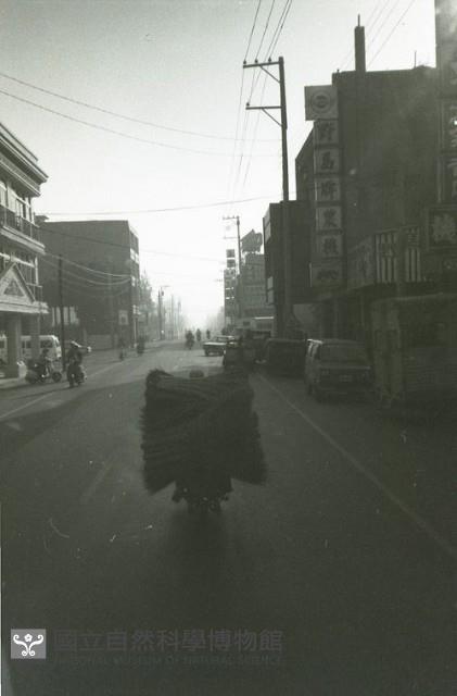 1950至2006年臺灣常民生活藏品圖，第1張