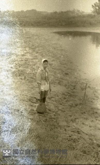 1950至2006年臺灣常民生活藏品圖，第1張