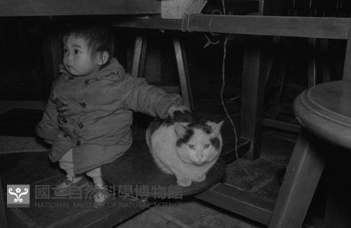 1950至2006年臺灣常民生活藏品圖，第1張