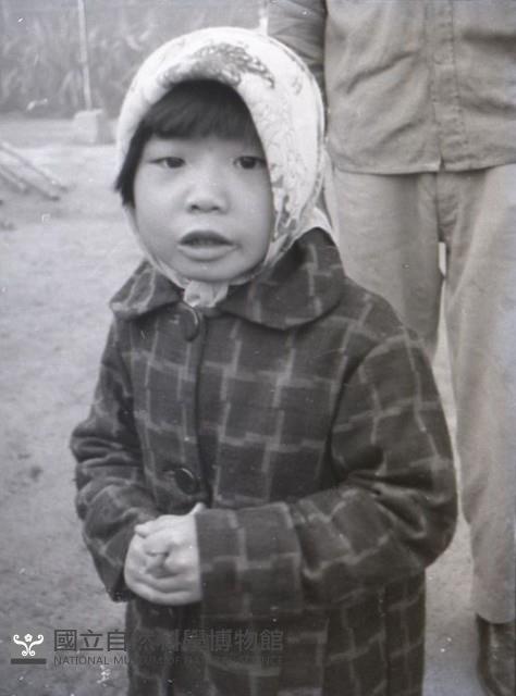 1950至2006年台灣常民生活藏品圖，第1張