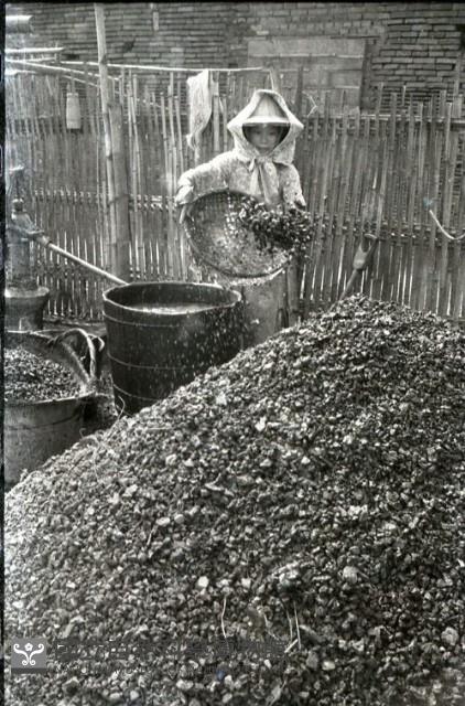 1950至2006年臺灣常民生活藏品圖，第1張