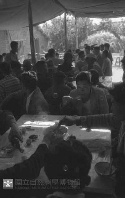1950至2006年臺灣常民生活藏品圖，第1張