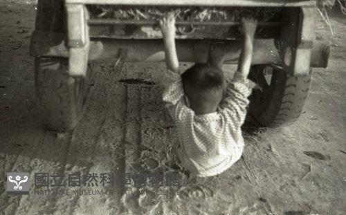 1950至2006年臺灣常民生活藏品圖，第1張