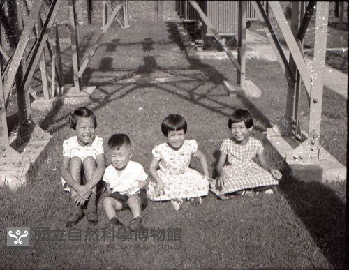 1950至2006年台灣常民生活藏品圖，第1張