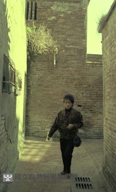 1950至2006年臺灣常民生活藏品圖，第1張