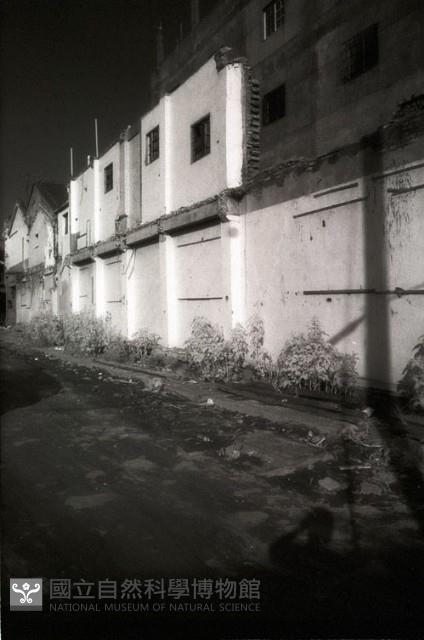 1950至2006年臺灣常民生活藏品圖，第1張