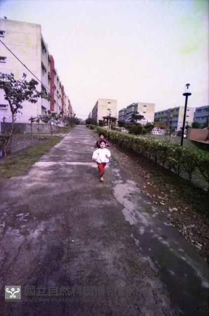 1950至2006年臺灣常民生活藏品圖，第1張