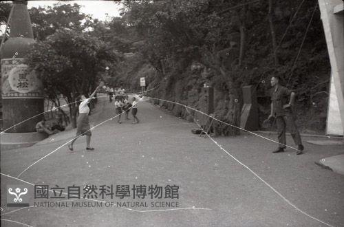 1950至2006年臺灣常民生活藏品圖，第1張