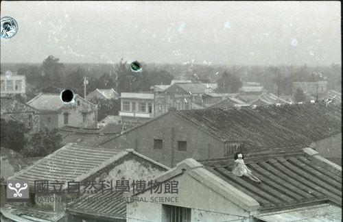 1950至2006年臺灣常民生活藏品圖，第1張