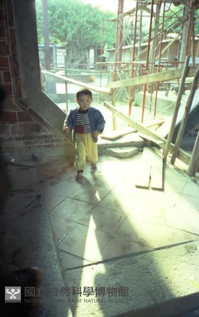 1950至2006年臺灣常民生活藏品圖，第1張