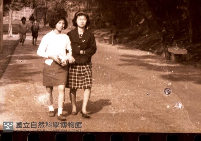1950至2006年臺灣常民生活藏品圖，第1張